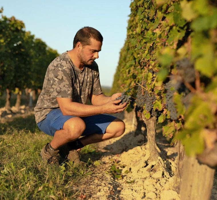  Gérard Bougès, propriétaire du Château La Fon du Berger